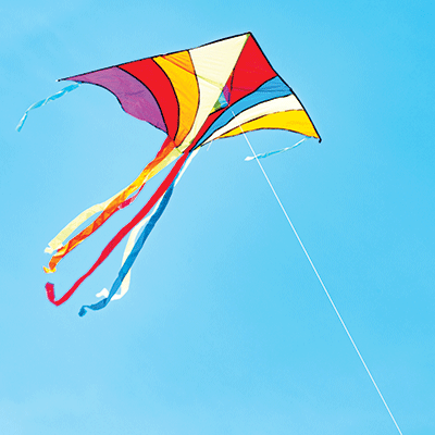 Family Fun: Go Fly A Kite