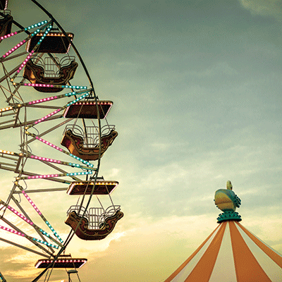 Family Fun: Go Fly A Kite