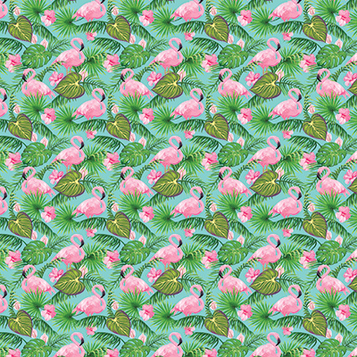 Flamingo Beach: Flamingo Bay