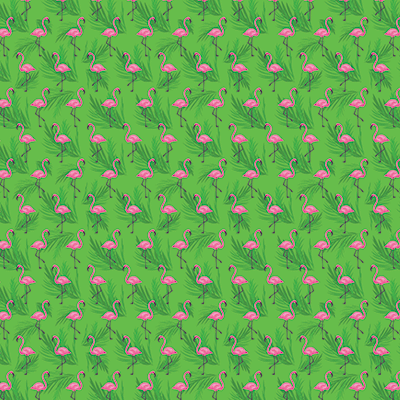 Flamingo Beach: Flamingo Bay