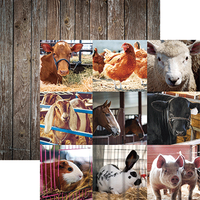 Farm Animals: Show Animals