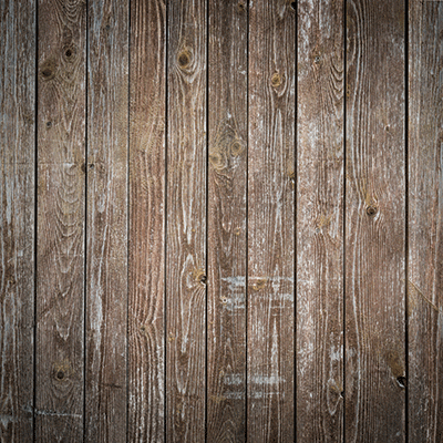 Farm Animals: Show Animals