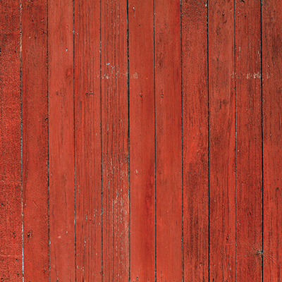 Farm Animals: Show Me