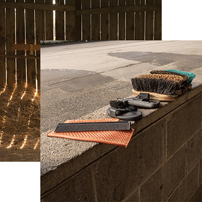 Farm Animals: Grooming