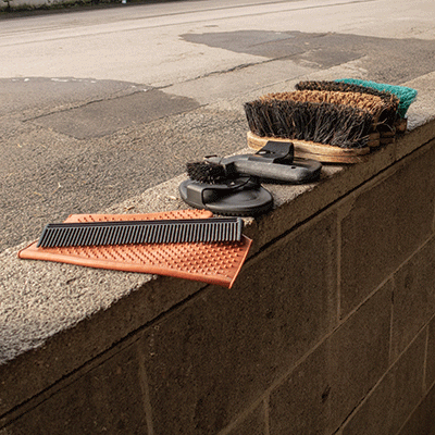 Farm Animals: Grooming