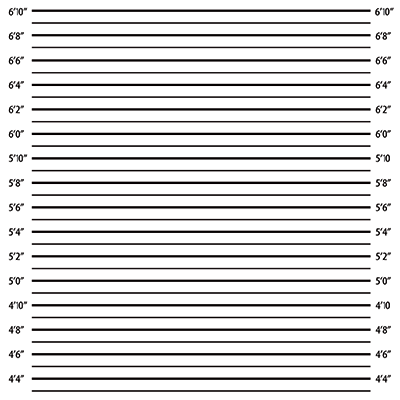 Get A Clue: The Spy and Suspect