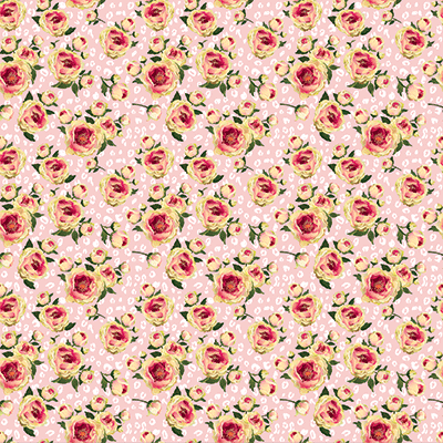 WS Grandma's House: Grandma's House