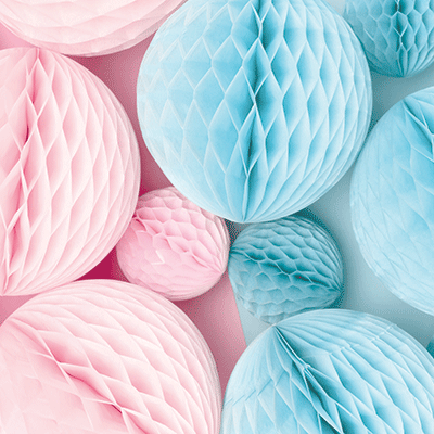 WS Gender Reveal Party: The Big Reveal