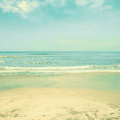 WS Girls Trip: Girls Trip