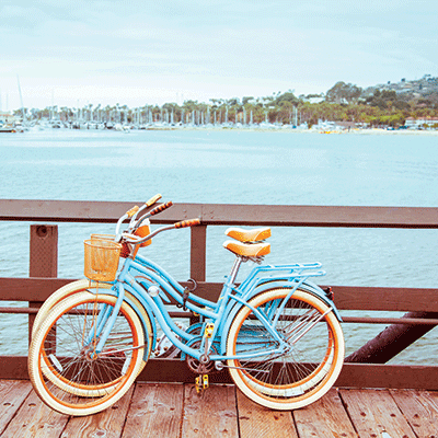 WS Girls Trip: Bestie Squad