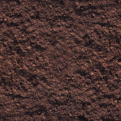 WS Grown with Love: Grown with Love