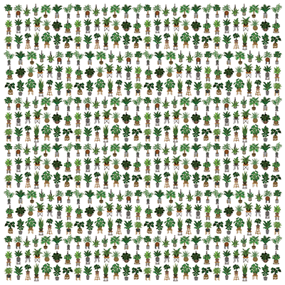 Grown with Love: Plant Lover