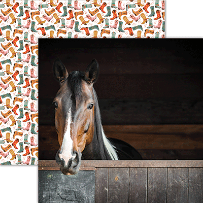 WS Horsing Around: Ready to Ride