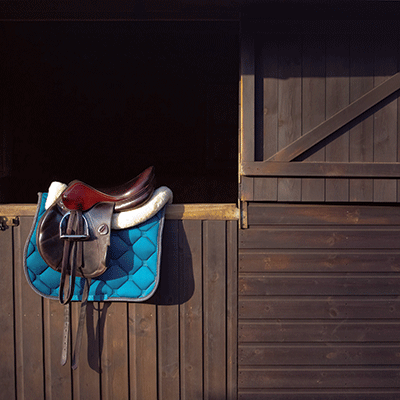 WS Horsing Around: Let's Ride