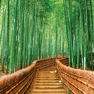 Japan: Kinkakuji Temple