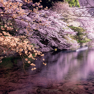 Japan: Atomic Bomb Dome