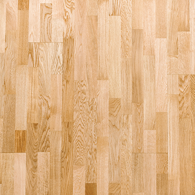 WS Let's Play! Volleyball: VB4