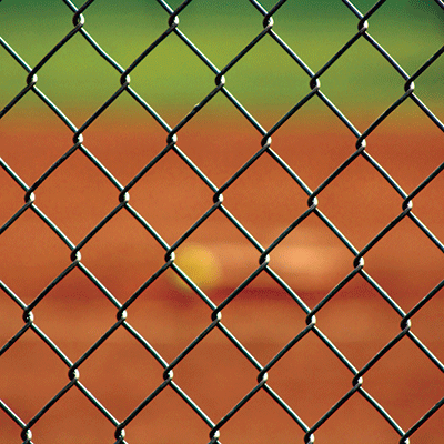 WS Let's Play! Softball: Play Ball