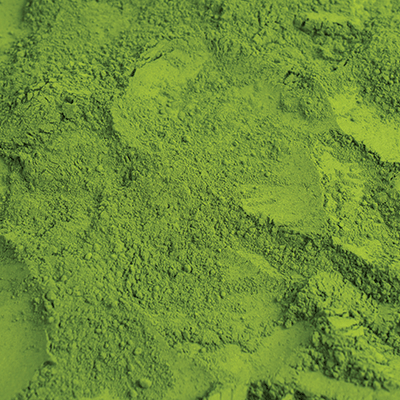 WS Matcha: Matcha Lover