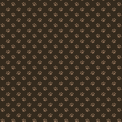 Meow Majesty: Tabby Trails