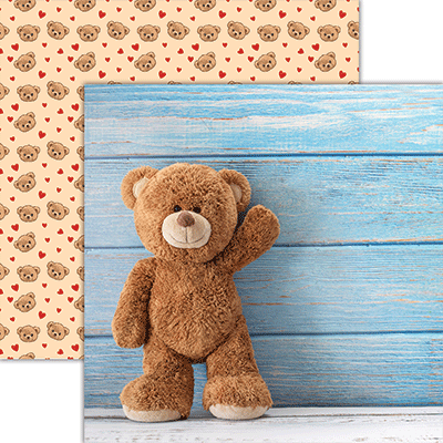 WS My Teddy Bear: Howdy
