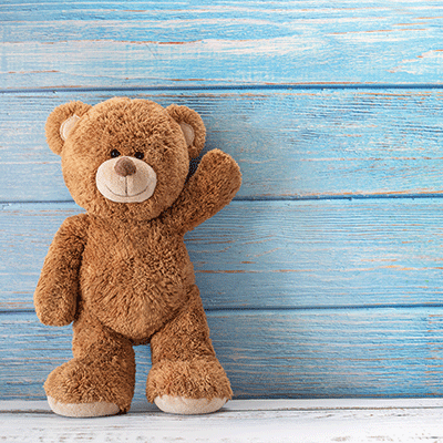 WS My Teddy Bear: Howdy