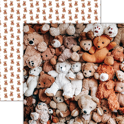WS My Teddy Bear: My Teddy Bears