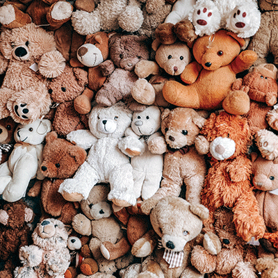 WS My Teddy Bear: My Teddy Bears