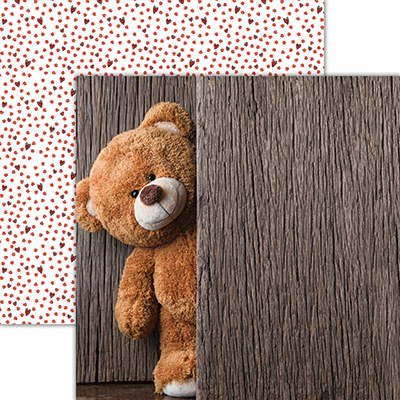 WS My Teddy Bear: Peek-A-Boo