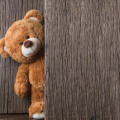WS My Teddy Bear: Peek-A-Boo