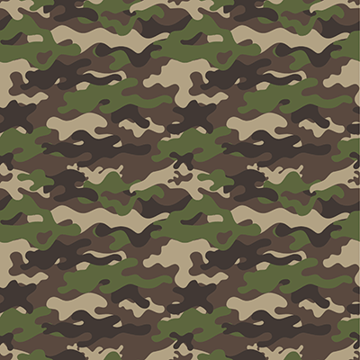 Military Life: At Attention