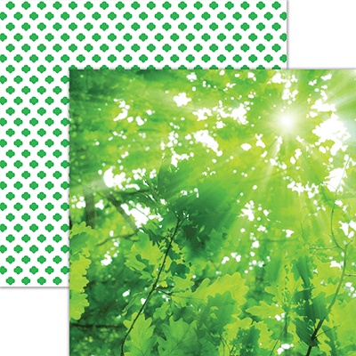 My Troop: My Happy Place