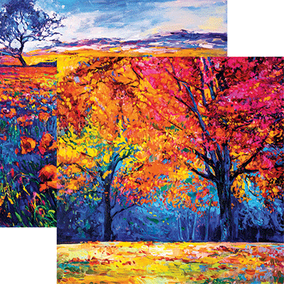 WS Nature's Reflection: A Walk Through the Forest