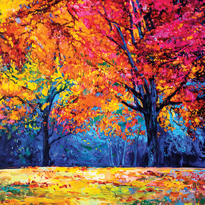 WS Nature's Reflection: A Walk Through the Forest