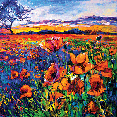 Nature's Reflection: A Walk Through the Forest