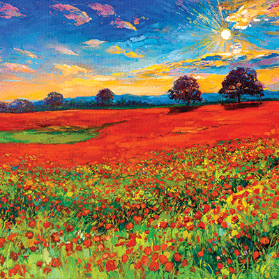 WS Nature's Reflection: Fields of Red