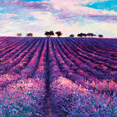WS Nature's Reflection: Purple Fields