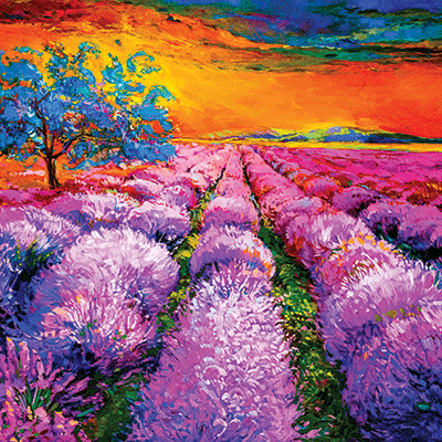 WS Nature's Reflection: Purple Fields