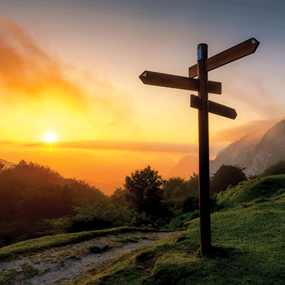 WS New Beginnings: New Path