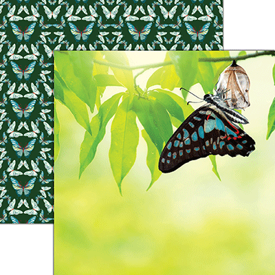 WS New Beginnings: Transformation