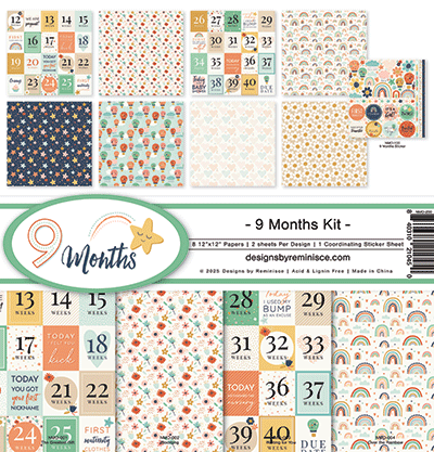 9 Months: 9 Months Collection Kit
