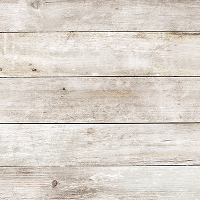 National Park Travelogue: National Park Travelogue Five