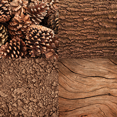 Nature's Textures: Earthy Browns
