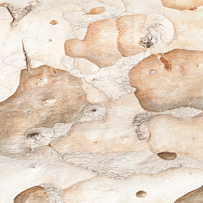 Nature's Textures: All Naturals