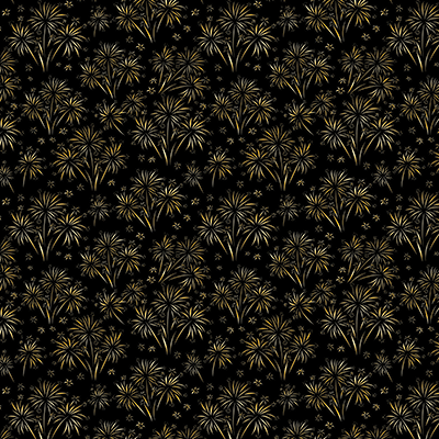 WS New Year Celebration 2026: Firework Finale