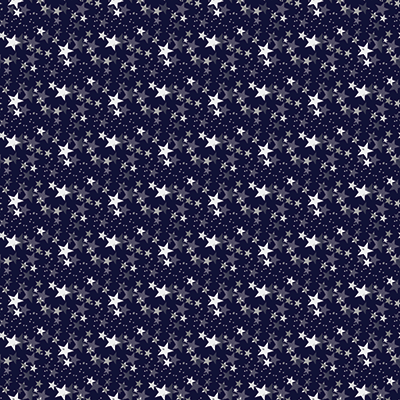 WS New Year Celebration 2026: Wish Upon Midnight