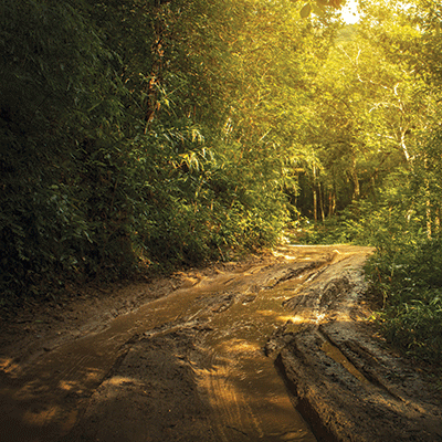 WS Off Road Adventure: Sand Dunes