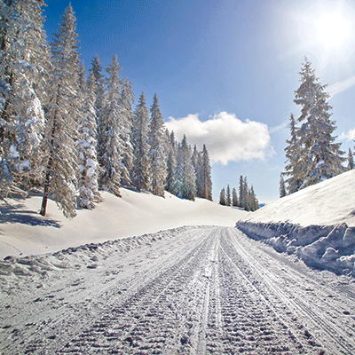 WS Off Road Adventure: Winter Trails