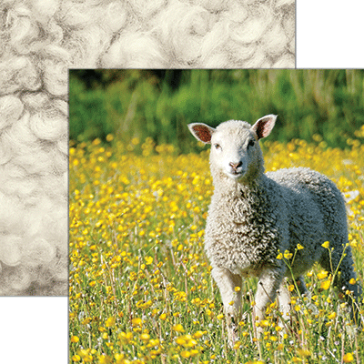 WS Oh Sheep!: Spring Stroll