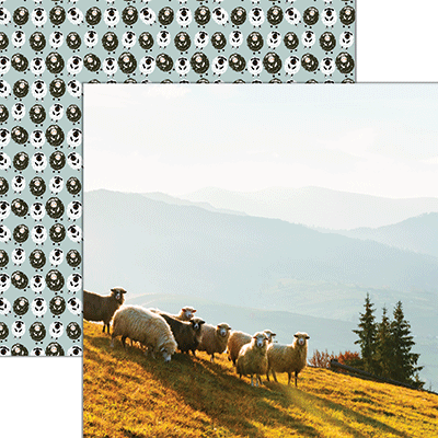 WS Oh Sheep!: Grazing